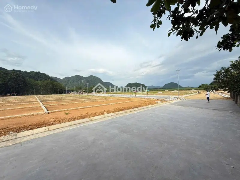 Bán Đất Thổ Cư Giá Rẻ Tại Thạch Thành Thanh Hóa, Diện Tích 110–130M², Giá Chỉ Từ 200 Triệu