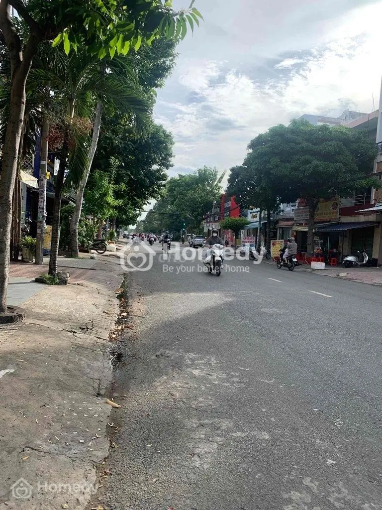 6040081 ảnh đại diện 1