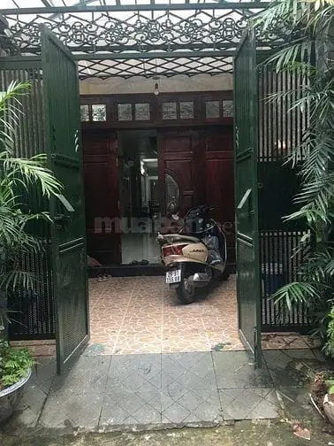 6040007 ảnh đại diện 1