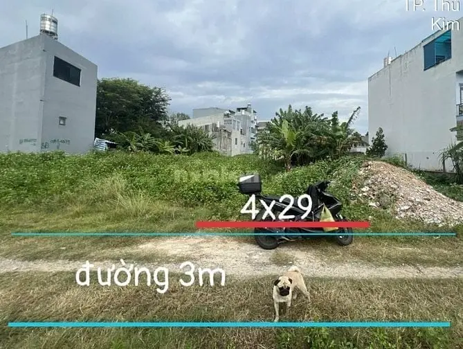 6039893 ảnh đại diện 1