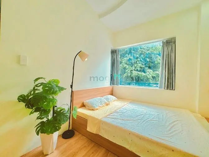 Cho Thuê Căn Hộ 1Pn Full Nội Thất Ban Công Ngay Trung Tâm Gò Vấp