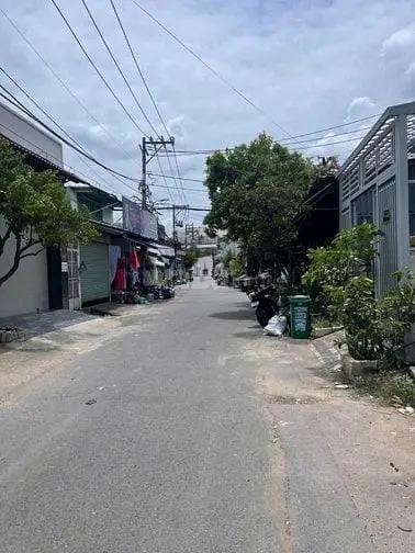 6040441 ảnh đại diện 1
