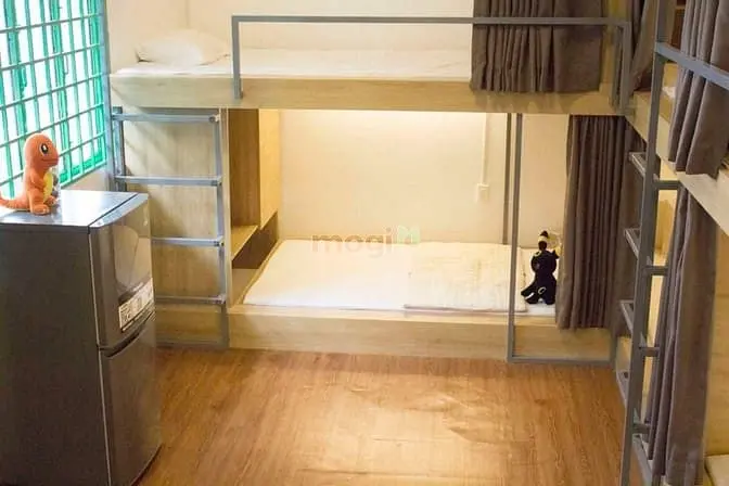 6040644 ảnh đại diện 1