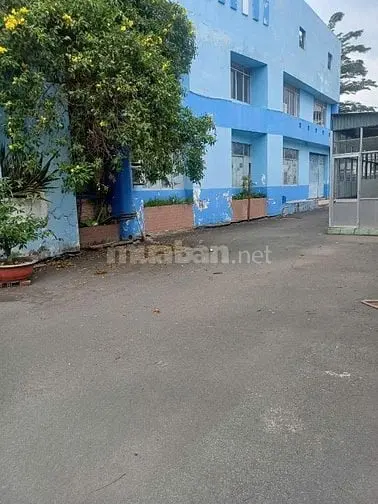 Bán Kho Xưởng Kcn Đức Hòa, Long An , Pháp Lý Rõ Ràng , Đường Container
