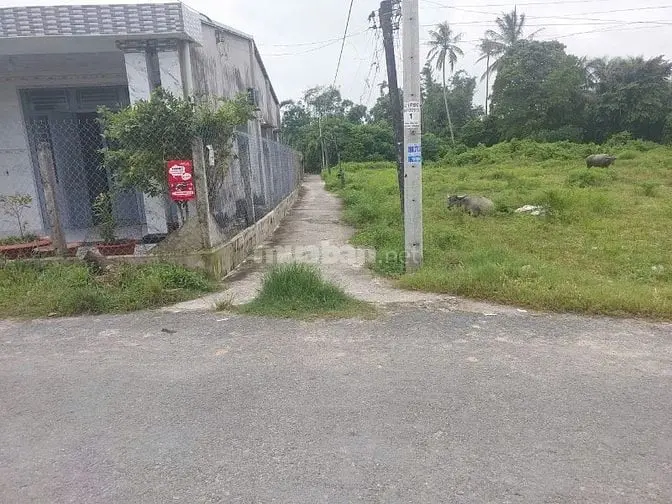10X32 Nhà Và Đất Tại Phường Gò Dầu. Sổ Hồng Riêng. 1,1 Tỷ