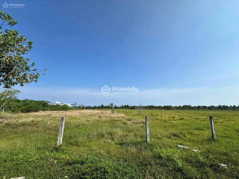 Bán 1.84 Ha Đất Gần Biển Tân Tiến, Lagi 300M2 Thổ Cư Giá Rẻ Nhất 975K/M2