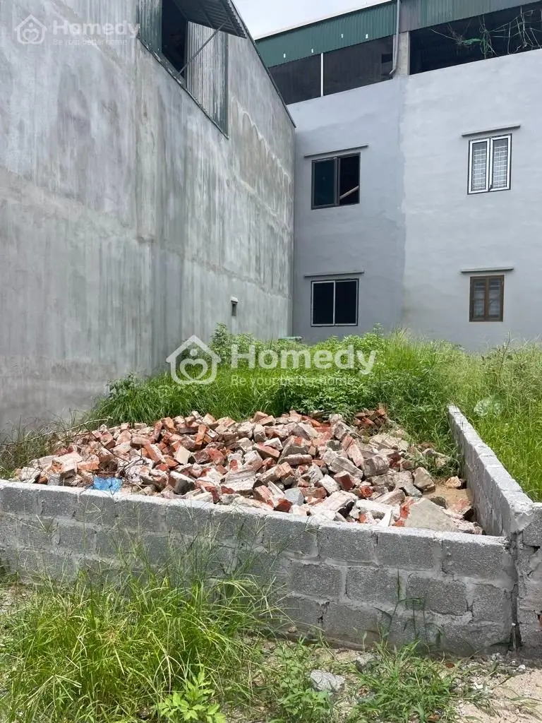 6040656 ảnh đại diện 1