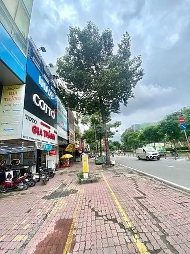 6040657 ảnh đại diện 1