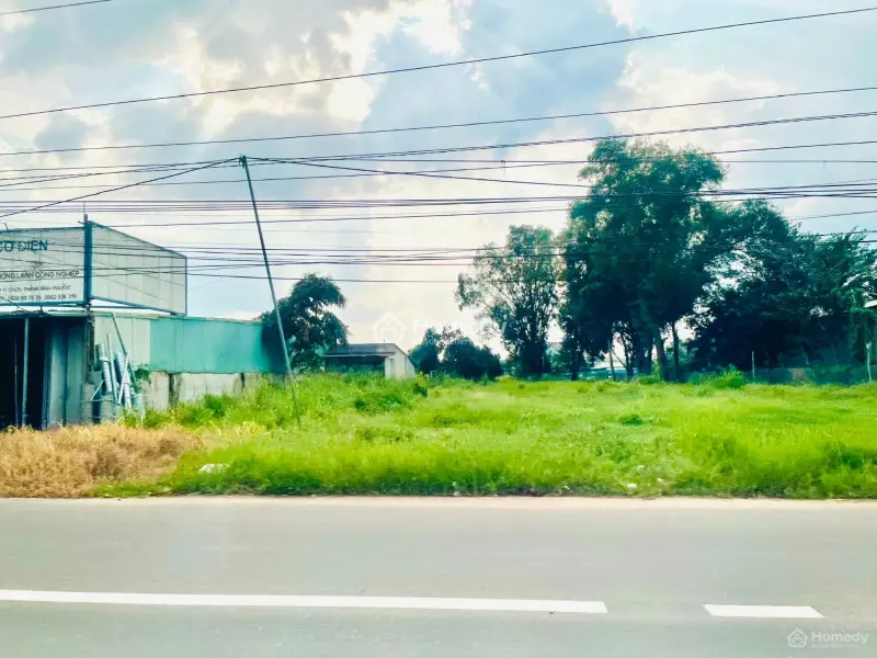6040633 ảnh đại diện 1