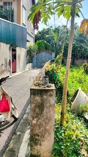 Đa Tốn_Đào Xuyên-Cạnh Vinocp-Lô Góc -Ô Tô Vào Ra Thoáng Mát-62M Chỉ 5₫