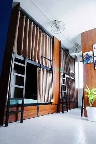 6040663 ảnh đại diện 1