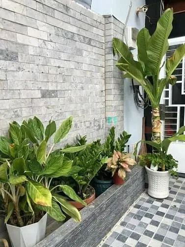 Cho Thuê Ký Túc Xá Huỳnh Tấn Phát, Gần Đh Ufm, Phòng Đẹp - Sạch Sẽ✨