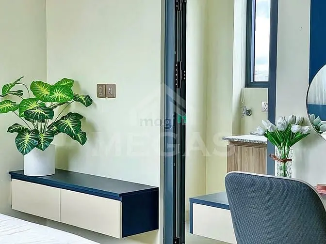 Lili Cho Thuê Căn Hộ 1Pn View Đẹp Tại Kdc Carric |Lili Báo Đúng Giá