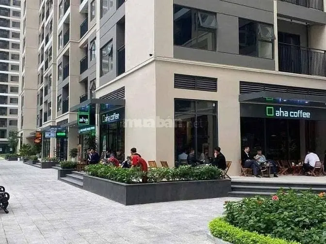 6040451 ảnh đại diện 1