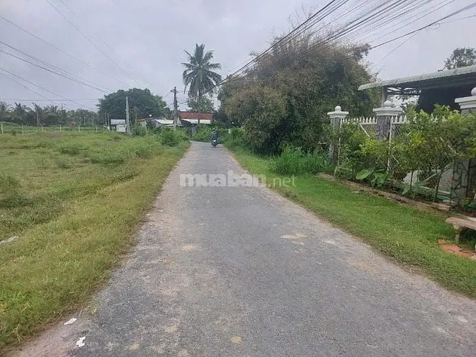 10X32 Nhà Và Đất Tại Phường Gò Dầu. Sổ Hồng Riêng. 1,1 Tỷ