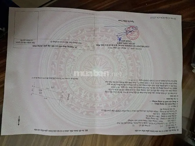 6040593 ảnh đại diện 1