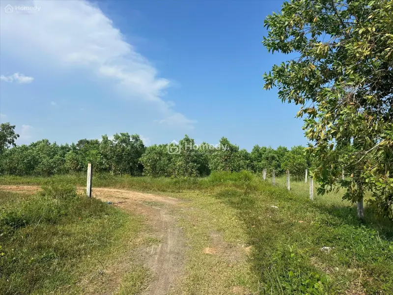 Bán 1.84 Ha Đất Gần Biển Tân Tiến, Lagi 300M2 Thổ Cư Giá Rẻ Nhất 975K/M2
