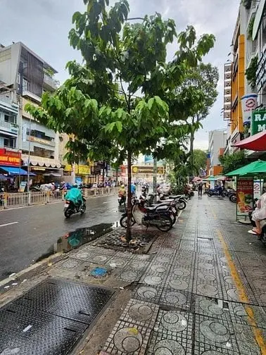 Cho Thuê Tòa Nhà (20X26M) - 3600M2 Sàn - Mặt Tiền Nguyễn Tri Phương