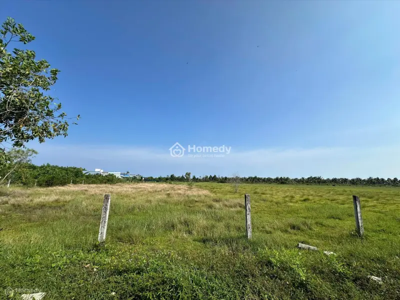 Bán 1.84 Ha Đất Gần Biển Tân Tiến, Lagi 300M2 Thổ Cư Giá Rẻ Nhất 975K/M2
