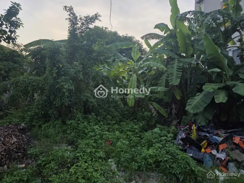 6040775 ảnh đại diện 1