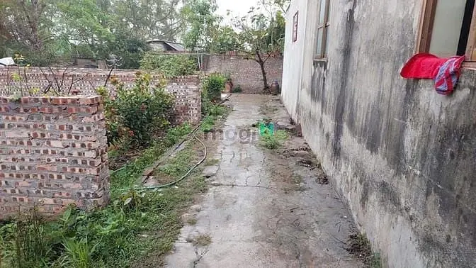 Siêu Hiếm 43M2 Đất Ngõ Rộng Tại Gia Lâm Giá Đầu Tư Chỉ Nhỉnh 2 Tỷ