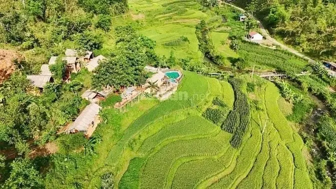 6040929 ảnh đại diện 1