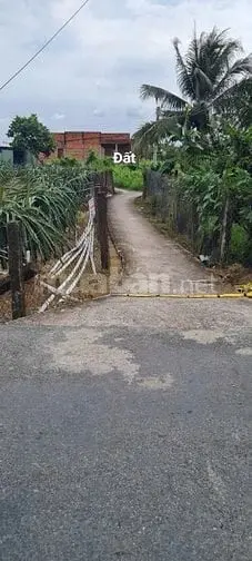 Cần Bán Đất Rẻ Nhất An Lục Long - Long An