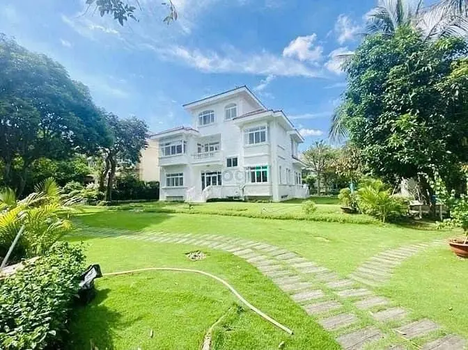 6040819 ảnh đại diện 1
