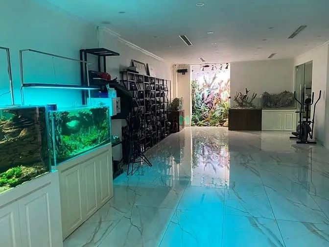 Bán Nhà Phố Hồng Tiến 168M2- 6 Tầng- Mt6M, Ngõ Ô Tô Thông Bàn Cờ