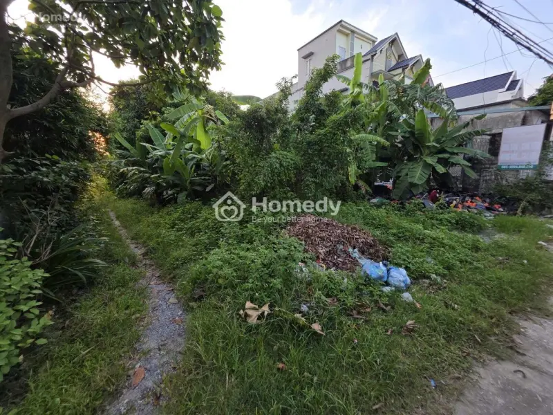 337M2 Trung Tâm Hành Chính - Trục Đường Dt499 - Thanh Liêm - Hà Nam