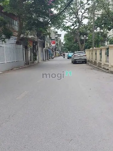 6041010 ảnh đại diện 1