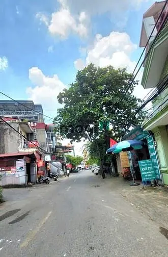 6040857 ảnh đại diện 1