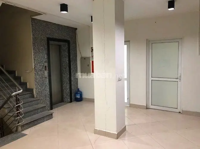 6040731 ảnh đại diện 1