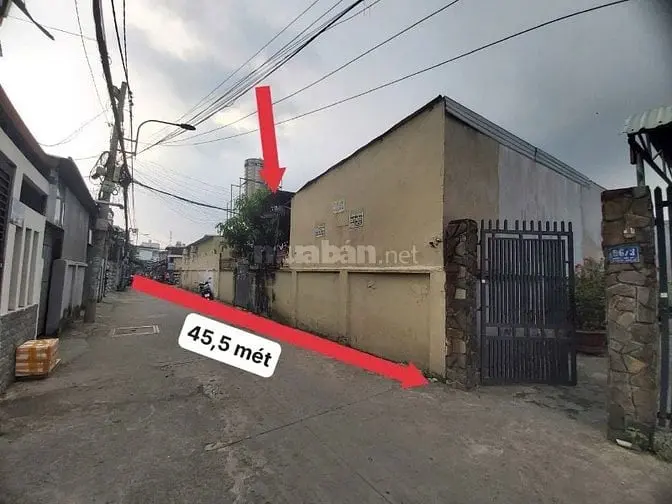 Bán Đất Đường Số 9 Phường Linh Tây Gần Chợ Thủ Đức (2.156M2) 50 Tr/M2