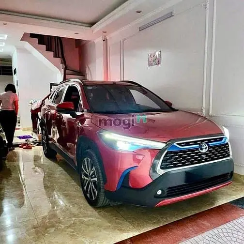 6041049 ảnh đại diện 1