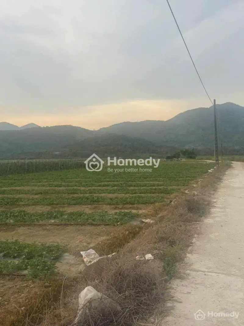 Bán Đất Trồng Cây 3 Măt Tiên Ở Diên Lâm- Diên Khánh