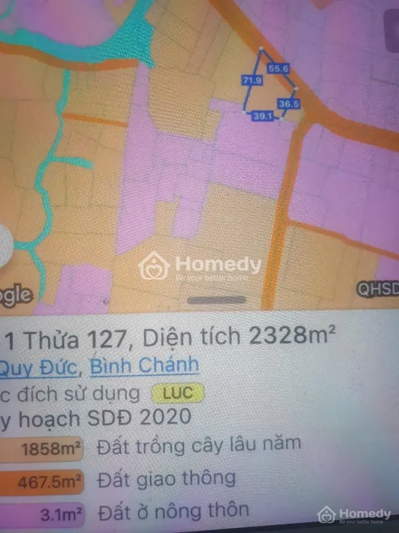 Bán Đất Cây Lâu Năm Mặt Tiền Đường Bùi Văn Sự 20M