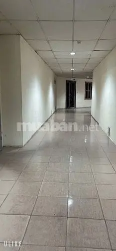 6041524 ảnh đại diện 1