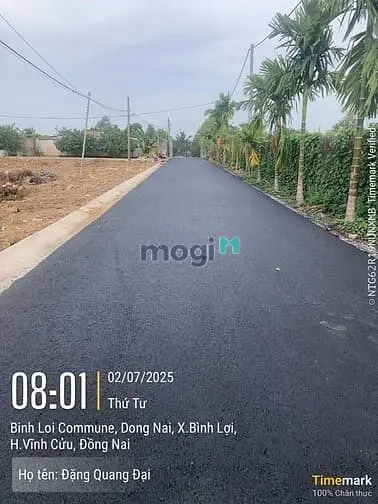 6041137 ảnh đại diện 1