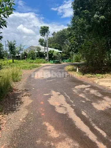 Đất Chính Chủ, Đối Diện Nhà Văn Hoá