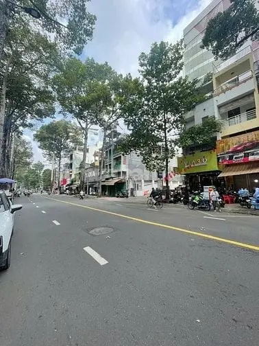 6041533 ảnh đại diện 1