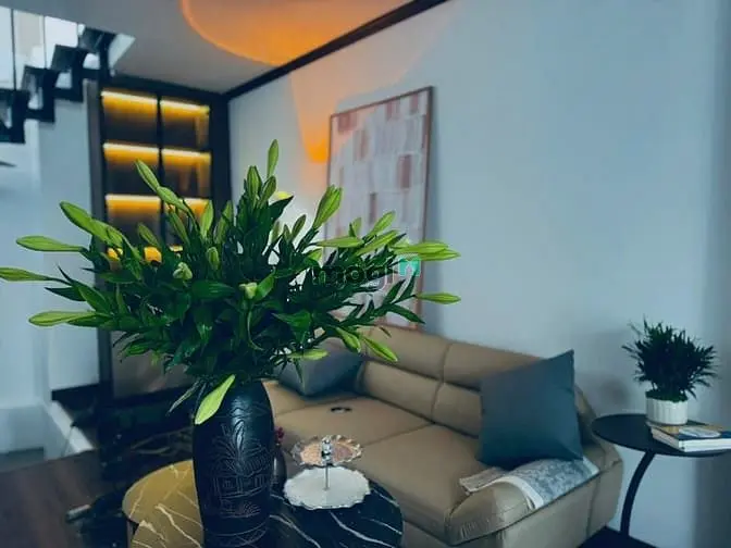 Cần Cho Thuê Nhà Riêng Vũ Phạm Hàm, Cầu Giấy 42M X 5 Tầng