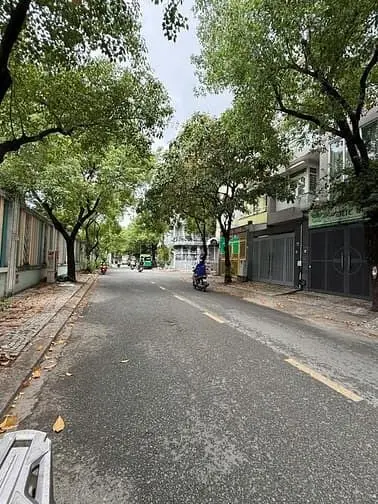6041249 ảnh đại diện 1