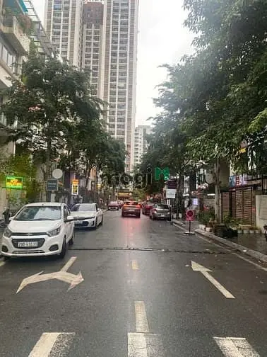 6041454 ảnh đại diện 1
