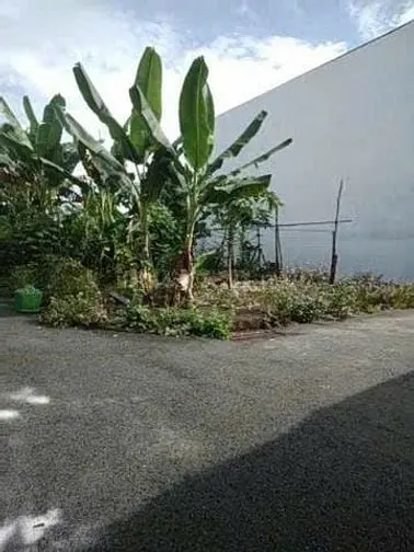 6041534 ảnh đại diện 1