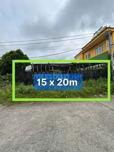 6041462 ảnh đại diện 1
