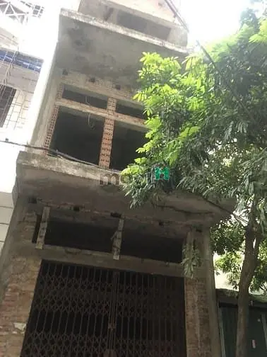 6041537 ảnh đại diện 1