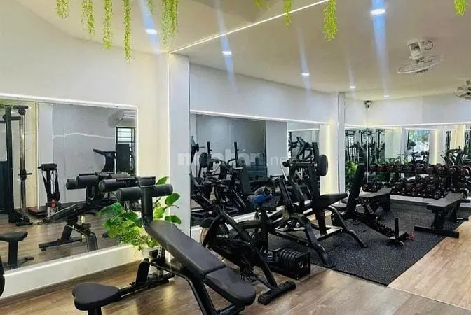 6041240 ảnh đại diện 1