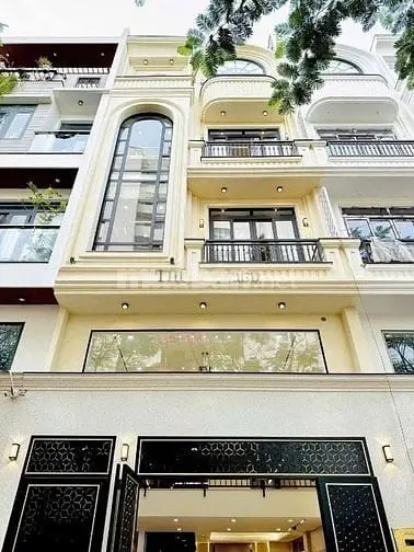 6041236 ảnh đại diện 1
