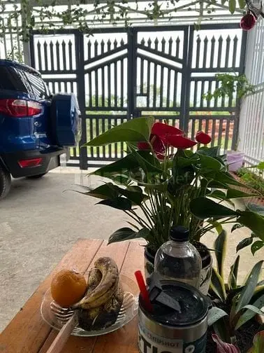 Nhà Chính Chủ Cần Bán Gấp , Ngang 10M Đang Cho Thuê Có Thu Nhập.
